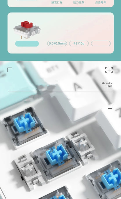 60% Wireless RGB Mechanical Keyboard | Tri-Mode Low Profile Gamer