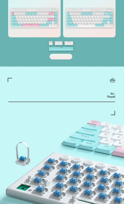 60% Wireless RGB Mechanical Keyboard | Tri-Mode Low Profile Gamer