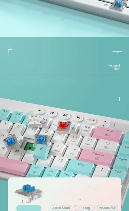 60% Wireless RGB Mechanical Keyboard | Tri-Mode Low Profile Gamer