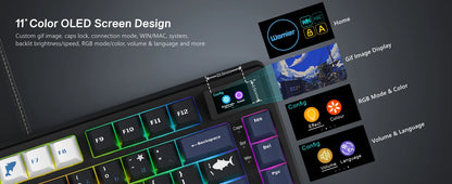 Womier S-K80 75% Mechanical Gaming Keyboard with OLED Display – Hot-Swap, RGB, Custom Gasket-Mount Design